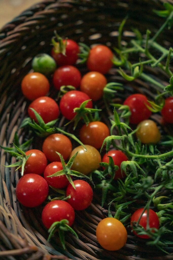 pexels tivasee 17374727 34009599